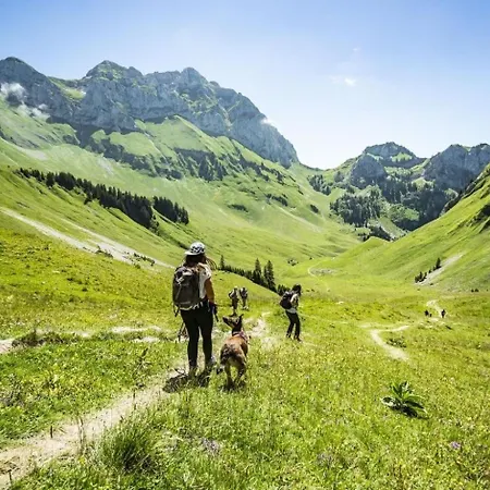 Moulin Ml175 Telecabine & Mountain 3 Pers * Châtel